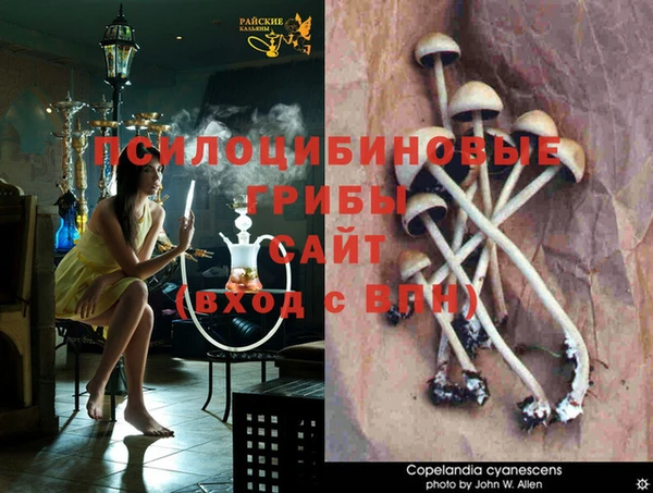 бутират Алзамай